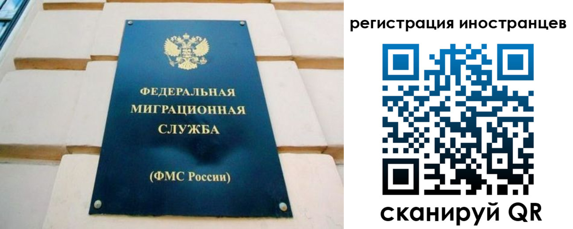 форма 3 в Новоаннинском